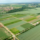 Zku&scaron;enosti se stabilizovan&yacute;mi dus&iacute;kat&yacute;mi hnojivy při pěstov&aacute;n&iacute; p&scaron;enice ozim&eacute;