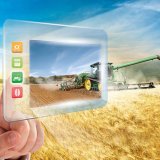 Systiva v&nbsp;ozim&eacute; p&scaron;enici