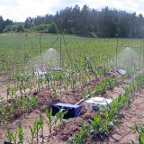 Organick&aacute; hmota zvy&scaron;uje bioaktivitu a&nbsp;zadržov&aacute;n&iacute; vody v&nbsp;půdě