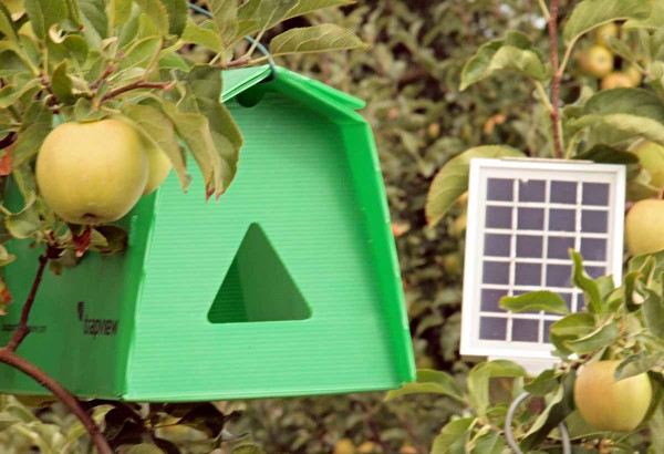 Před letem obalečů i dalších druhů motýlů by v sadech měly být nainstalovány feromonové lapáky - na snímku fotopast Trapview umožňující online přístup k datům Před letem obalečů i dalších druhů motýlů by v sadech měly být nainstalovány feromonové lapáky - na snímku fotopast Trapview umožňující online přístup k datům