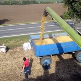 Počas&iacute; a&nbsp;odrůdov&eacute; pokusy se s&oacute;jou v&nbsp;ročn&iacute;ku 2015/16