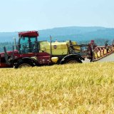 Porostům je třeba věnovat pozornost i&nbsp;kr&aacute;tce před sklizn&iacute;