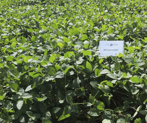 ES Governor (Agrofinal)