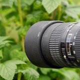 Fotosoutěž k&nbsp;Mezin&aacute;rodn&iacute;mu roku zdrav&iacute; rostlin 2020