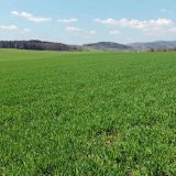 Fosfor v&nbsp;půdě