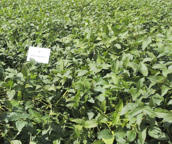 ES Compositor (Agrofinal)