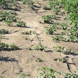 Redesign erozní ohroženosti půdy v LPIS Redesign erozní ohroženosti půdy v LPIS