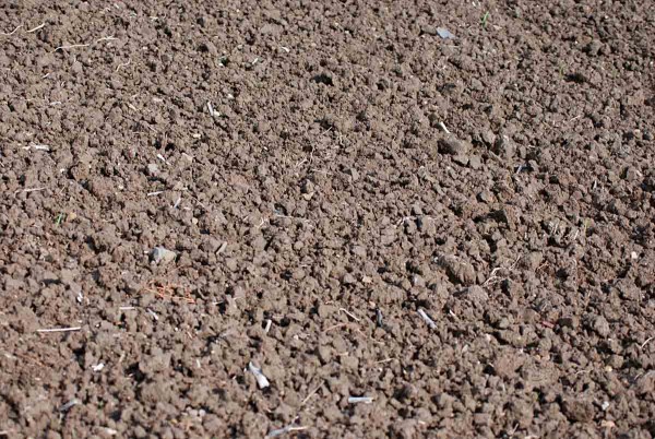 Dobr&aacute; př&iacute;prava půdy je z&aacute;kladem kvalitn&iacute;ch porostů