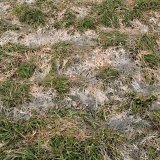 Co je&scaron;tě udělat na zahradě, než přijde zima