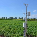 Signalizace plísně bramboru a povětrnostní podmínky ve vegetačním období roku 2018 Signalizace plísně bramboru a povětrnostní podmínky ve vegetačním období roku 2018