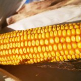 LG 31.377 - v&yacute;konn&yacute; a&nbsp;spolehliv&yacute;