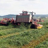 P&iacute;cn&iacute;m porostům je třeba se věnovat v&iacute;ce, než jsme byli zvykl&iacute;