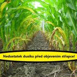 Bezpečn&eacute; přihnojen&iacute; kukuřice dus&iacute;kem na list