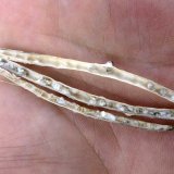 V&yacute;skyt houbov&yacute;ch chorob řepky ozim&eacute; v&nbsp;roce 2016 v&nbsp;Česk&eacute; a&nbsp;Slovensk&eacute; republice