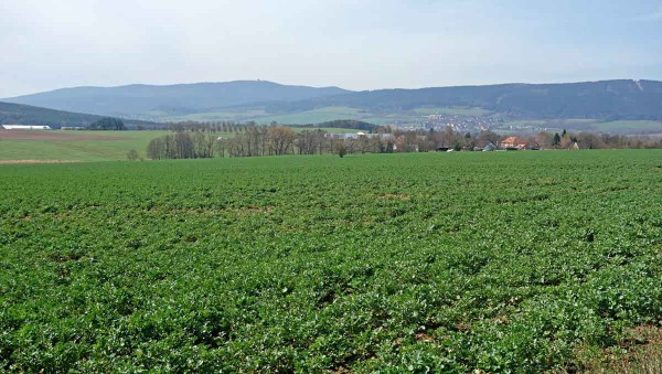 Západní horizont státní hranice majestátně lemuje vrchovina Český les s vyčnívajícím Čerchovem Západní horizont státní hranice majestátně lemuje vrchovina Český les s vyčnívajícím Čerchovem