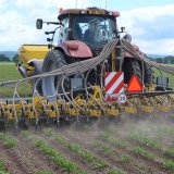 Variabiln&iacute; přihnojen&iacute; cukrov&eacute; řepy