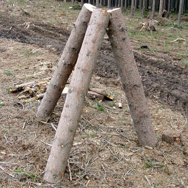 Otrávený lapák - trojnožka Otrávený lapák - trojnožka