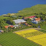 Rapool c&iacute;l&iacute; na řepku