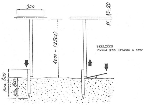 Berličky pro dravce Berličky pro dravce