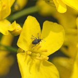 Causa: Stonkov&iacute; krytonosci 2020