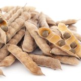 Odrůdy hrachu poln&iacute;ho, s&oacute;je a&nbsp;lupiny &uacute;zkolist&eacute; pro jarn&iacute; z&aacute;sev 2021