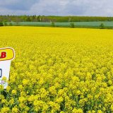 Společně pro vy&scaron;&scaron;&iacute; v&yacute;kon