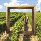 Delan® Pro - jistota do sadů a vinic Delan® Pro - jistota do sadů a vinic