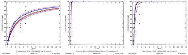 Graf 4a, b, c: Rozd&iacute;ly v&nbsp;reakc&iacute;ch k. čtyřzub&eacute;ho (C. pallidactylus; vlevo), bl&yacute;sk&aacute;čků (B. aeneus; uprostřed) a&nbsp;dřepč&iacute;ků rodu Phyllotreta (vpravo) na kontaktn&iacute; působen&iacute; insekticidu indoxacarb na z&aacute;kladě testů proveden&yacute;ch v&nbsp;roce 2018
