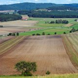 Povolov&aacute;n&iacute; př&iacute;pravků a&nbsp;pomocn&yacute;ch prostředků na ochranu rostlin