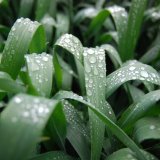 Rok 2019 ve znamen&iacute; ochran&aacute;řsk&yacute;ch kauz