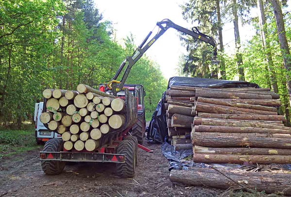 Po ošetření je možno dřevo transportovat Po ošetření je možno dřevo transportovat
