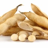 Odhad obchodu a&nbsp;produkce olejnin a&nbsp;zejm&eacute;na s&oacute;ji v&nbsp;roce 2020