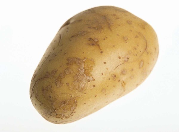 Stř&iacute;břitost slupky bramboru