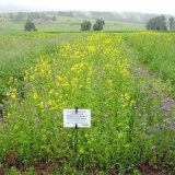 Pro podporu biodiverzity