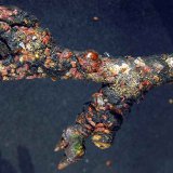 Aktu&aacute;ln&iacute; přehled ochrany zahrad, sadů a&nbsp;vinic - leden a&nbsp;&uacute;nor 2021