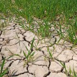 &Uacute;vaha o&nbsp;změn&aacute;ch počas&iacute; a&nbsp;pěstov&aacute;n&iacute;