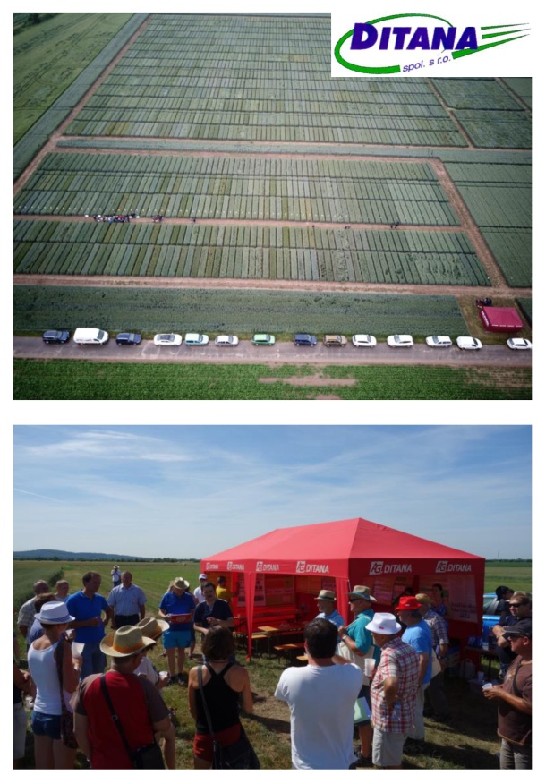 Poln&iacute; den Ditana, Velk&aacute; Bystřice, 2021