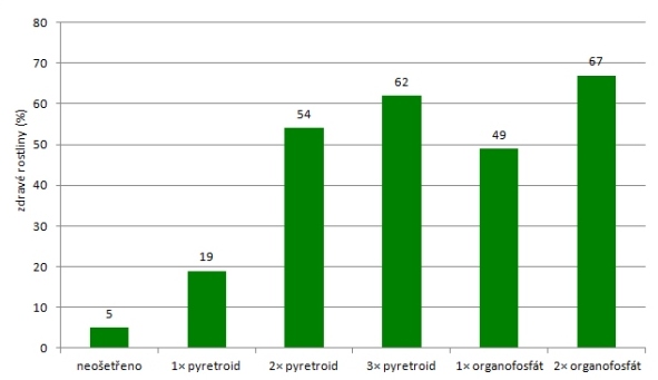 Graf 1: Podíl zdravých rostlin řepky (v %) v závislosti na systému ošetření proti stonkovým krytonoscům (Vašák a kol. 2000) Graf 1: Podíl zdravých rostlin řepky (v %) v závislosti na systému ošetření proti stonkovým krytonoscům (Vašák a kol. 2000)