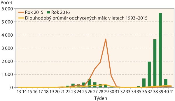 Graf 6: Letová aktivita mšice broskvoňové (Myzus persicae) v ČR Graf 6: Letová aktivita mšice broskvoňové (Myzus persicae) v ČR