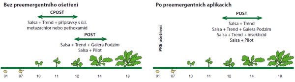 Graf 1: Doporučen&iacute; pro aplikaci herbicidu Salsa&reg; 75 WG v&nbsp;ozim&eacute; řepce