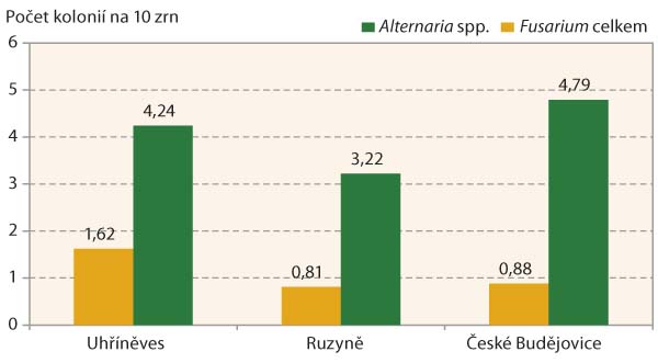 Graf 1: M&iacute;ra napaden&iacute; zrn houbami rodů Alternaria a&nbsp;Fusarium, průměr 2 odrůd