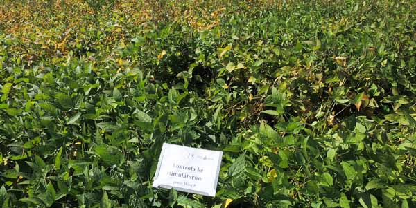 Kontrola ke&nbsp;stimul&aacute;torům