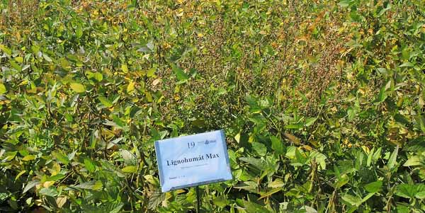 Lignohum&aacute;t Max