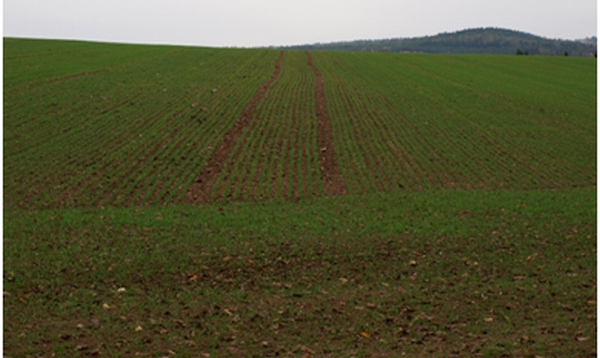 Obr. 5: S ohledem na ochranu vodních organizmů je vyloučeno jarní použití přípravku Glean 75 PX (trávy, obilniny) na pozemcích svažujících se k povrchovým vodám (svažitost 3 stupně a větší), t.j. pozemcích, jejichž okraje jsou vzdáleny od povrchových vod méně než 100 m Obr. 5: S ohledem na ochranu vodních organizmů je vyloučeno jarní použití přípravku Glean 75 PX (trávy, obilniny) na pozemcích svažujících se k povrchovým vodám (svažitost 3 stupně a větší), t.j. pozemcích, jejichž okraje jsou vzdáleny od povrchových vod méně než 100 m