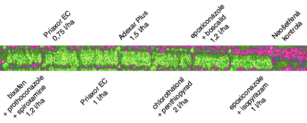 Obr. 2: Spektrální letecký snímek pokusných parcelek s fungicidním ošetřením pšenice ozimé (ZS Kluky, 27. 6. 2016) Obr. 2: Spektrální letecký snímek pokusných parcelek s fungicidním ošetřením pšenice ozimé (ZS Kluky, 27. 6. 2016)