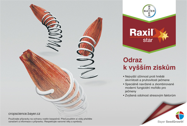 inz raxil star inz raxil star