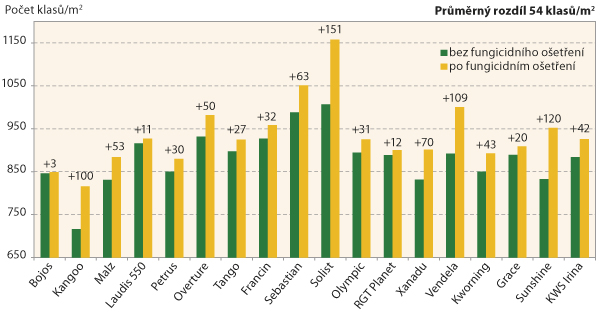 Graf 1: Počty klasů odrůd ječmene jarního bez fungicidní ochrany a po ošetření Atlasem v T1 (DC 25, Ditana Velká Bystřice, 2016) Graf 1: Počty klasů odrůd ječmene jarního bez fungicidní ochrany a po ošetření Atlasem v T1 (DC 25, Ditana Velká Bystřice, 2016)