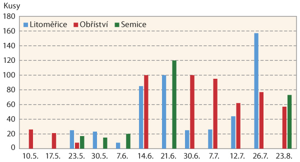 Graf 1: Počty odchycen&yacute;ch mot&yacute;lů ve feromonov&yacute;ch lap&aacute;c&iacute;ch na pol&iacute;ch s&nbsp;brukvovitou zeleninou na lokalit&aacute;ch v&nbsp;okol&iacute; Litoměřic, Obř&iacute;stv&iacute; a&nbsp;Semic