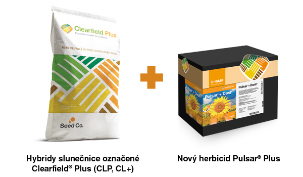 Nová pěstební technologie Clearfield® Plus přináší nové hybridy a nový herbicid Nová pěstební technologie Clearfield® Plus přináší nové hybridy a nový herbicid