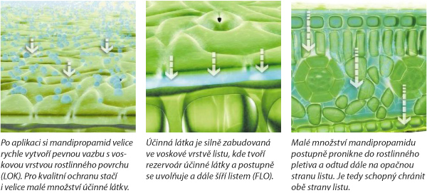 Excelentn&iacute; odolnost vůči smyvu de&scaron;těm d&iacute;ky technologii LOK + FLO